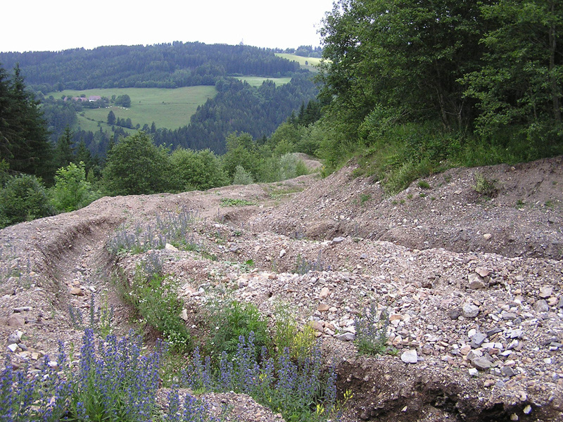 017-huettenberg-alberthalde-03-80