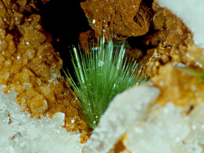 002-agardite-clara-800