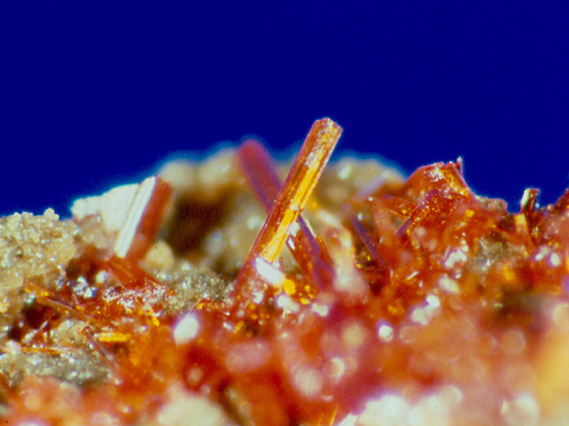 129-realgar-stelzing-02-09-800